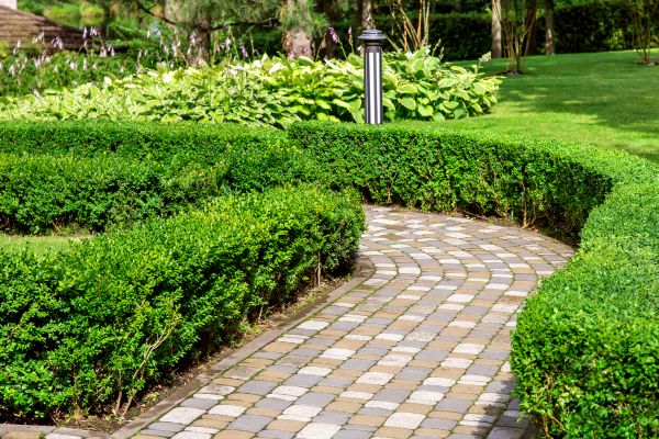 Paved Landscaping Service
