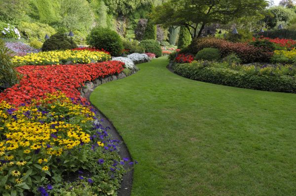 Landscape Enhancement