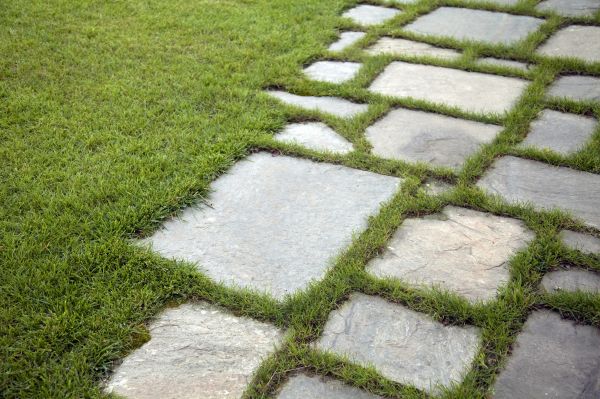 Paving Stone Maintenance