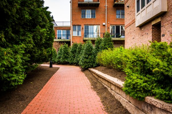 Brick Path Installation